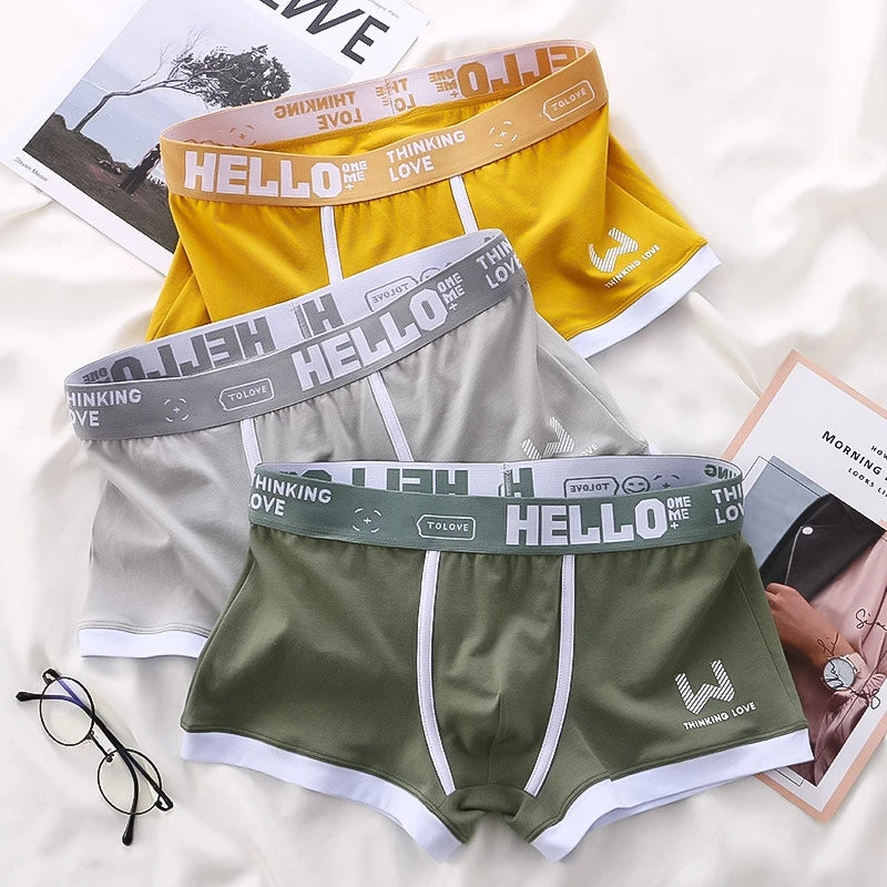 Men's boxer shorts in various variants