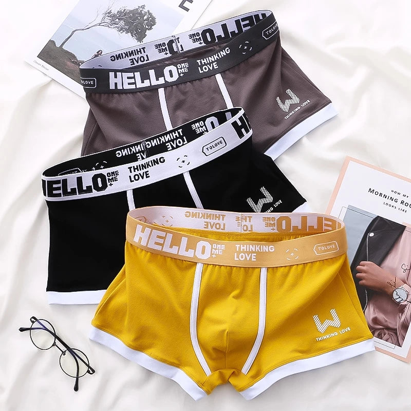 Men's boxer shorts in various variants