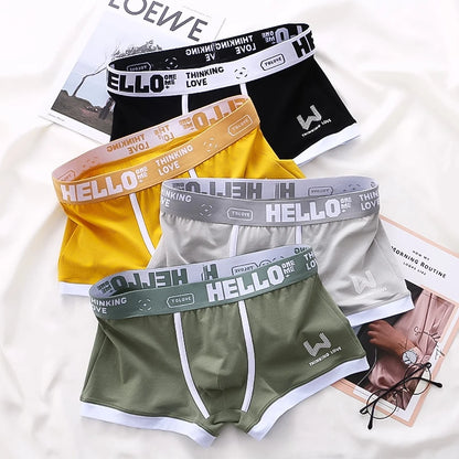 Men's boxer shorts in various variants